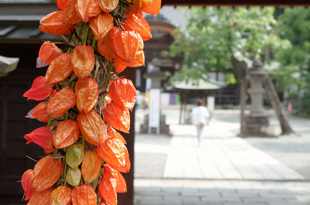 山門の鬼灯
