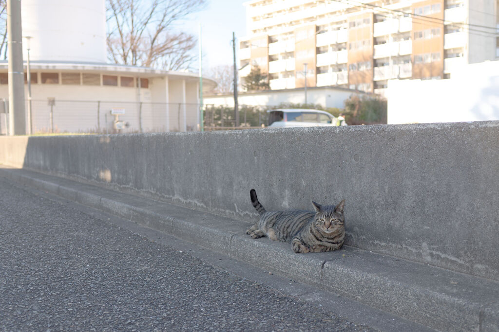 居場所