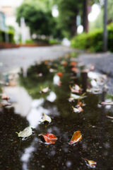 雨の日は 雨の日は
