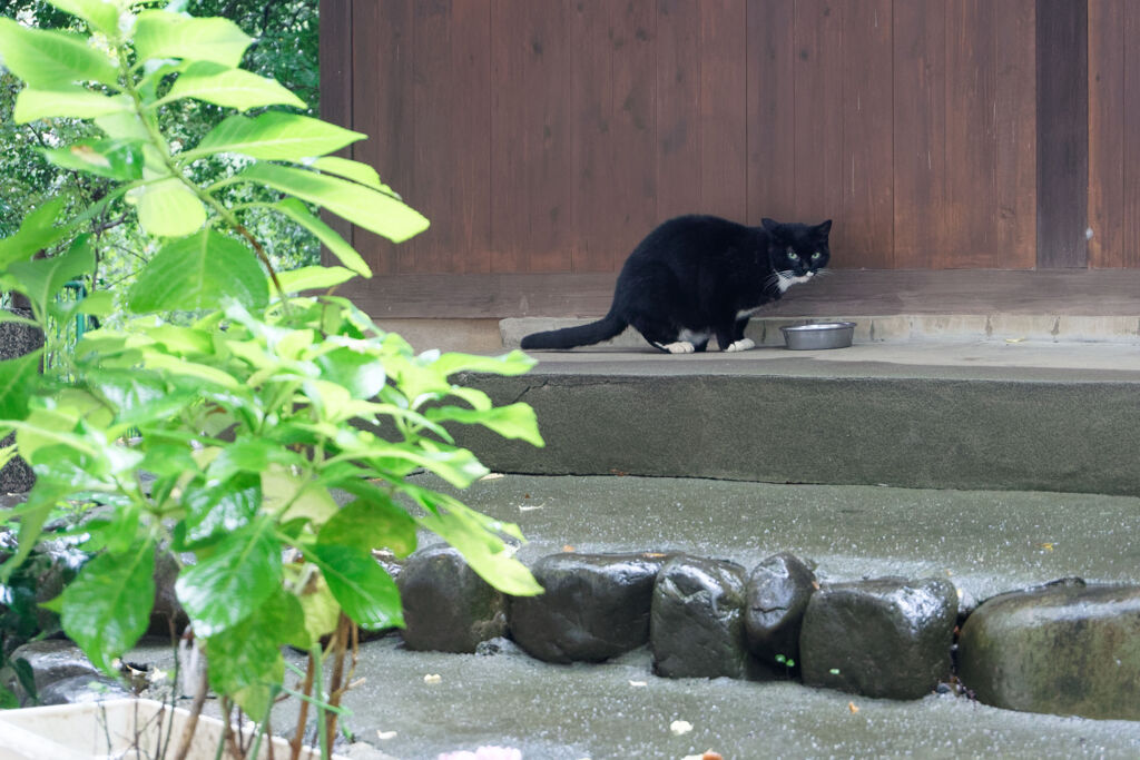 ごはん中失礼しました
