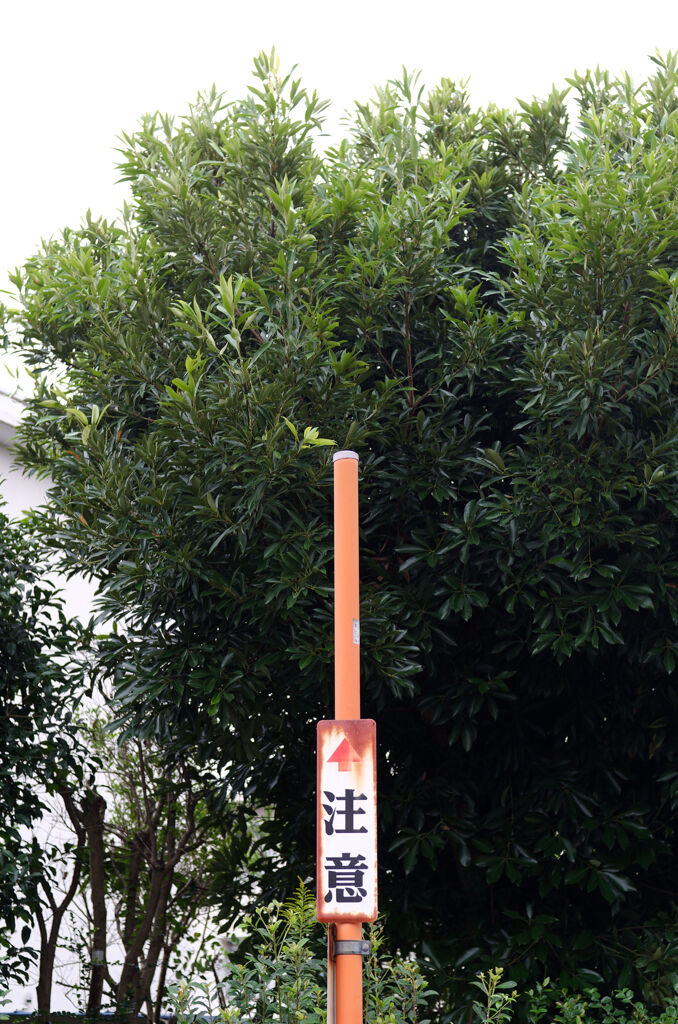 どこを？