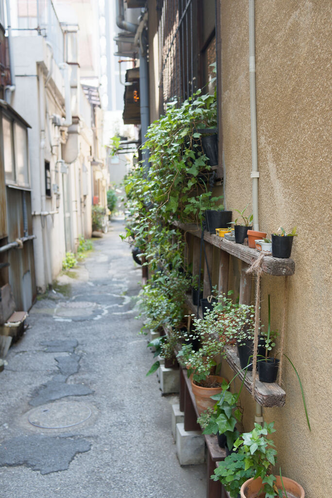 路地を歩けば