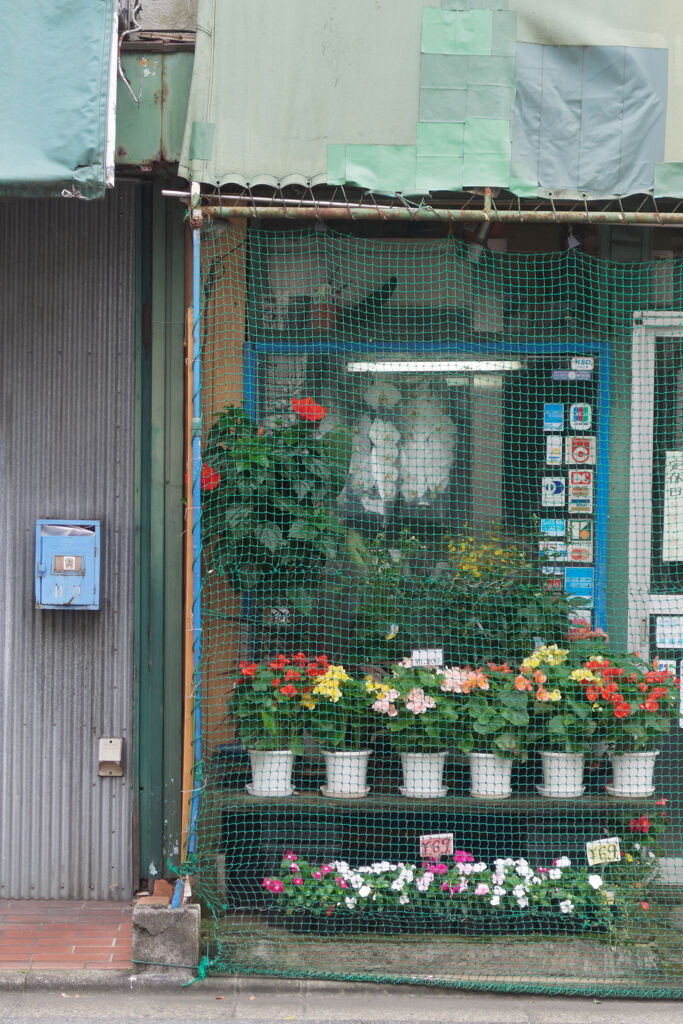 定休日の花屋さん