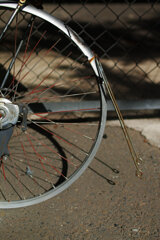 RIM