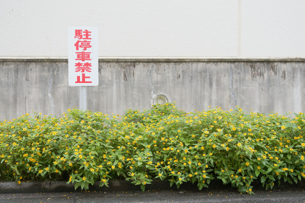 駐停車禁止