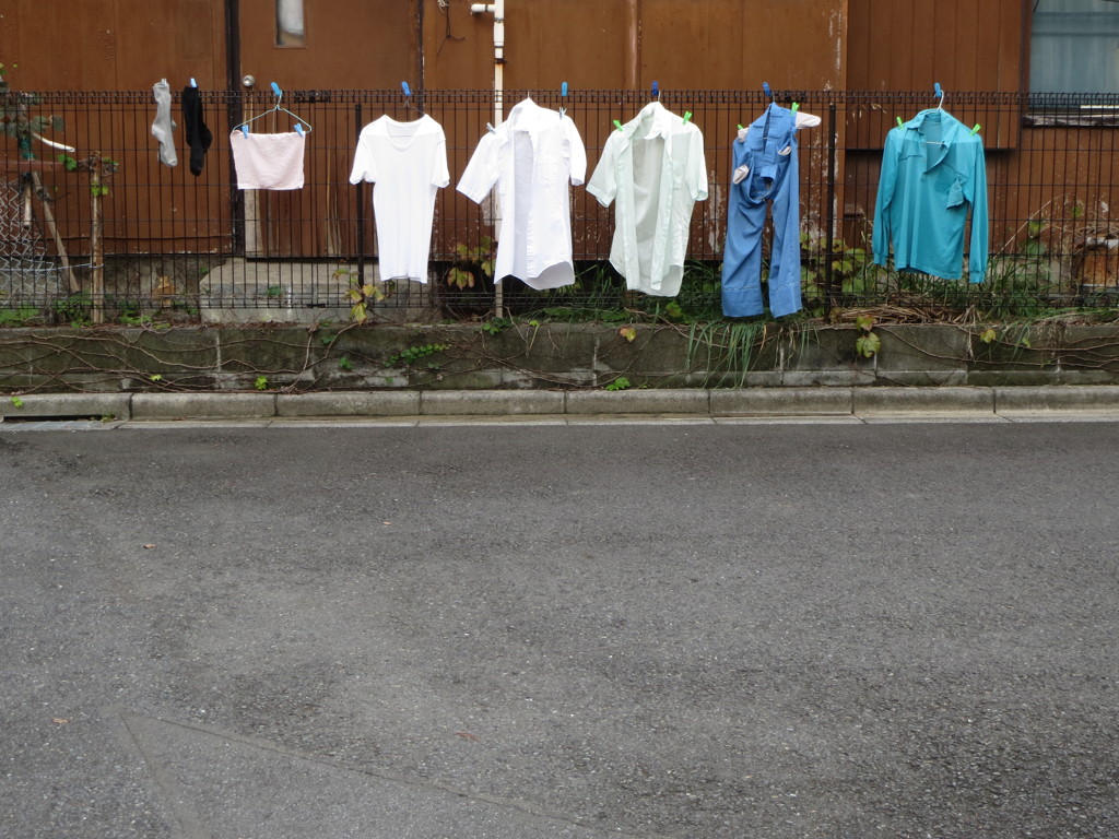 晴れたから・・・