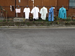 晴れたから・・・