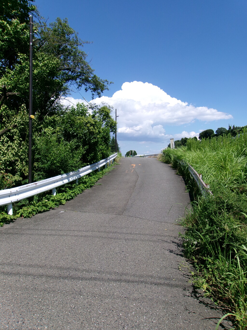 夏への坂道