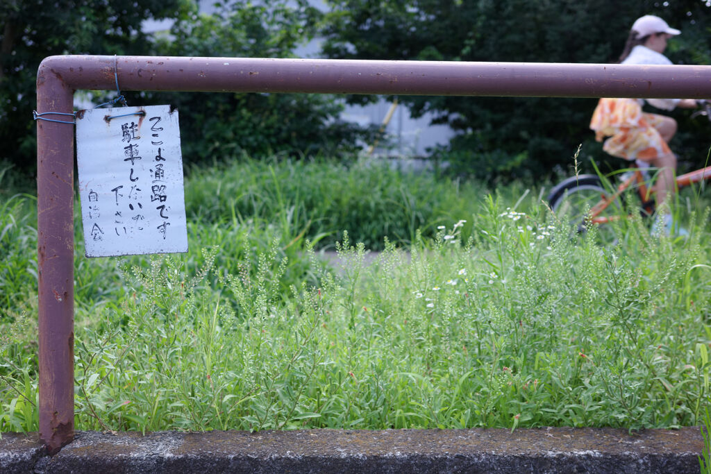 ここは