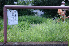 ここは