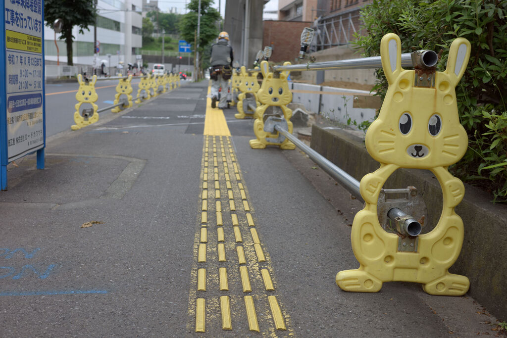 兎ロード
