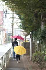 雨の日