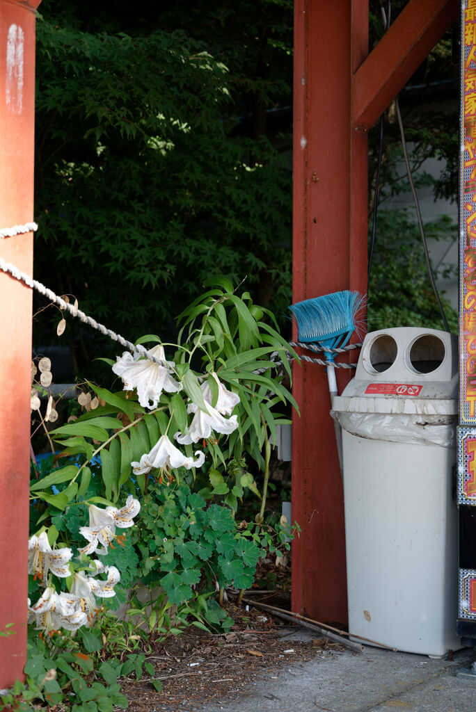 百合と箒