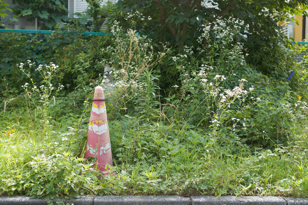 草むらに
