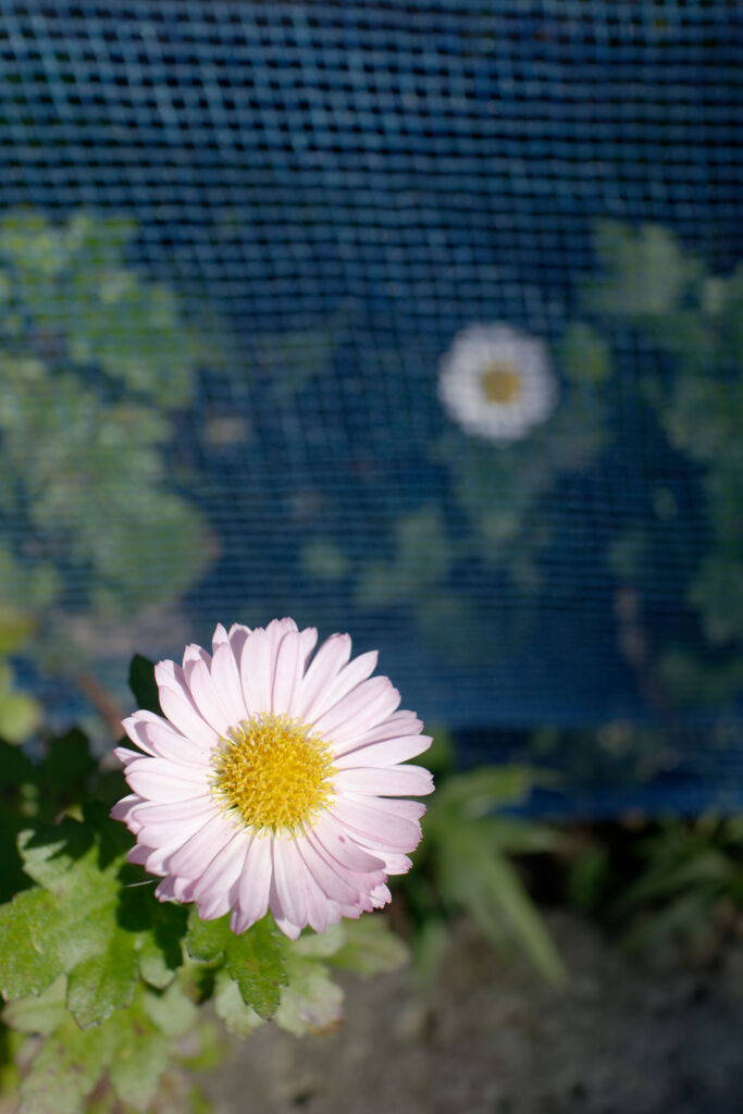 あっちとこっち