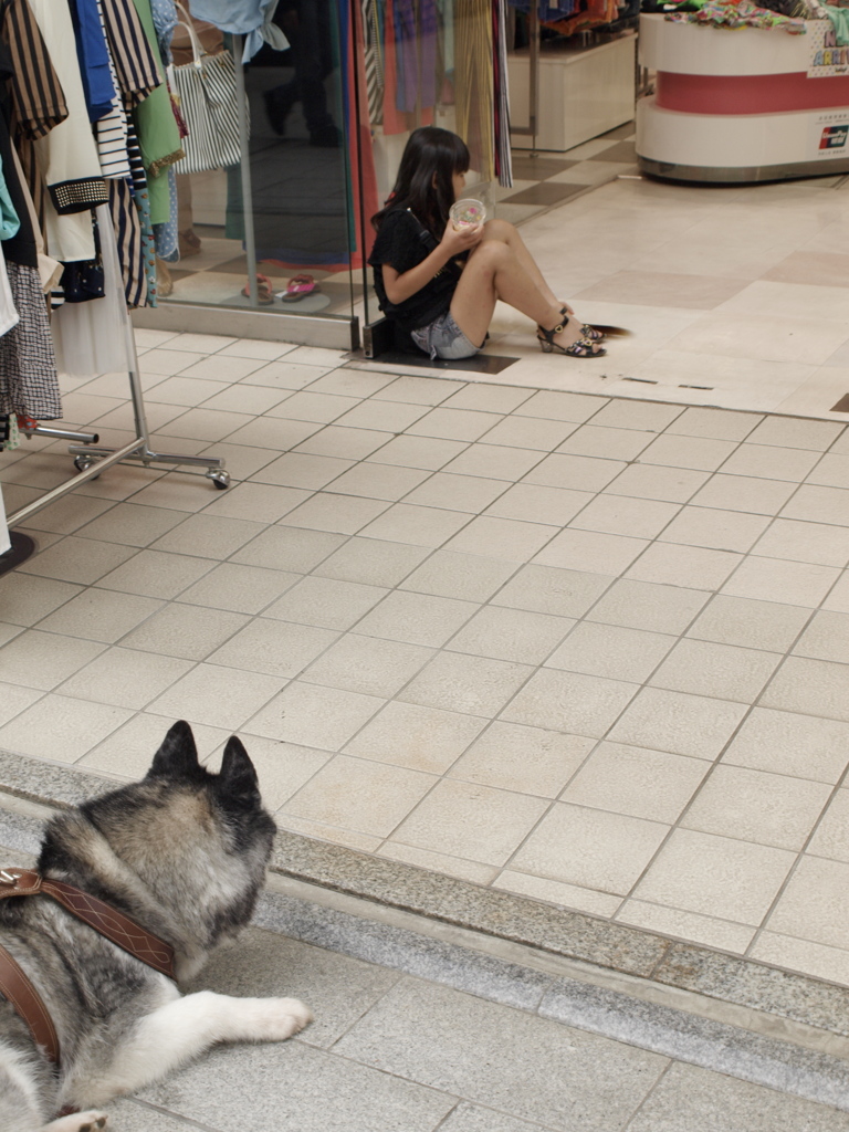 犬と少女