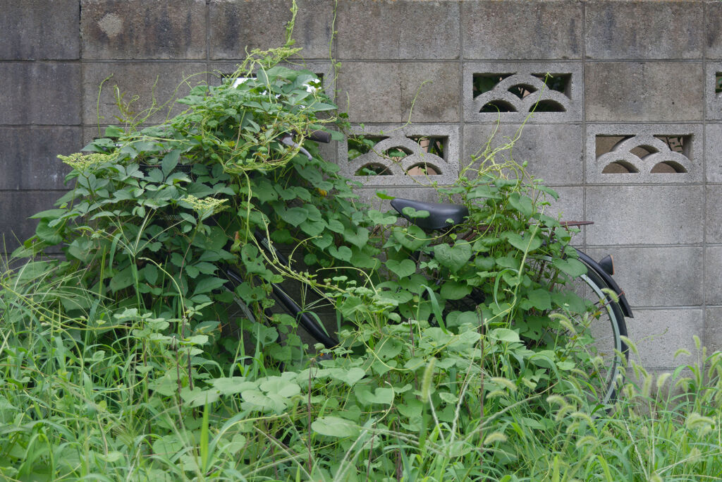 埋もれて