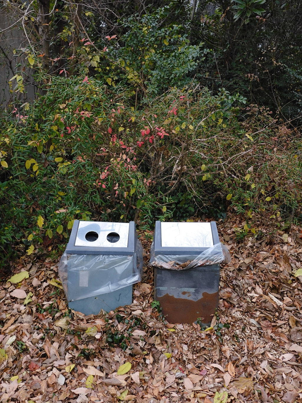 落葉に埋もれて