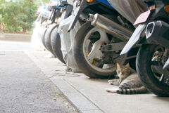 バイク好き