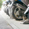バイク好き