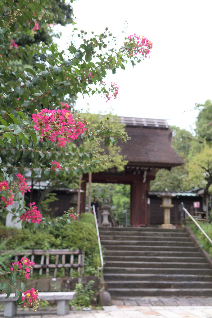 参道にて
