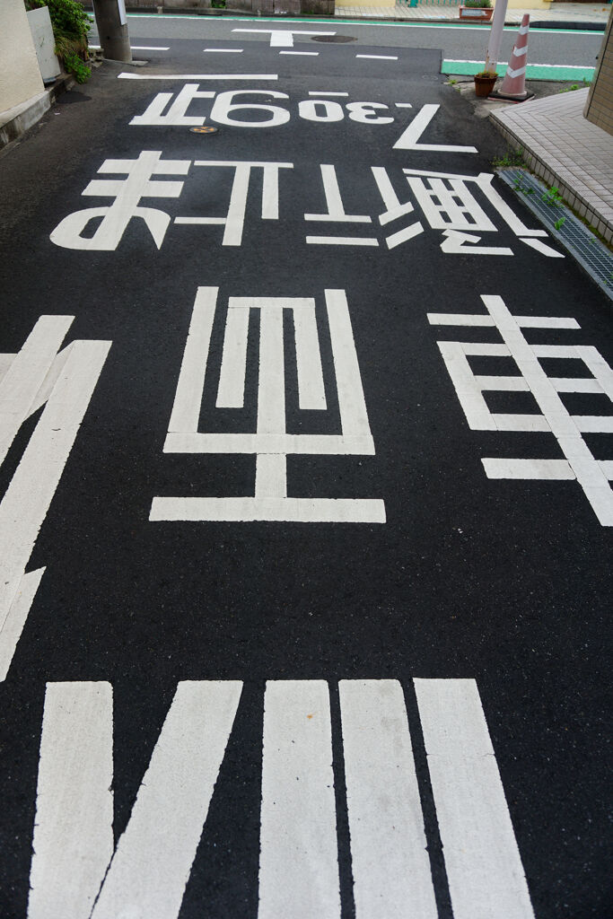 判断に迷いそう
