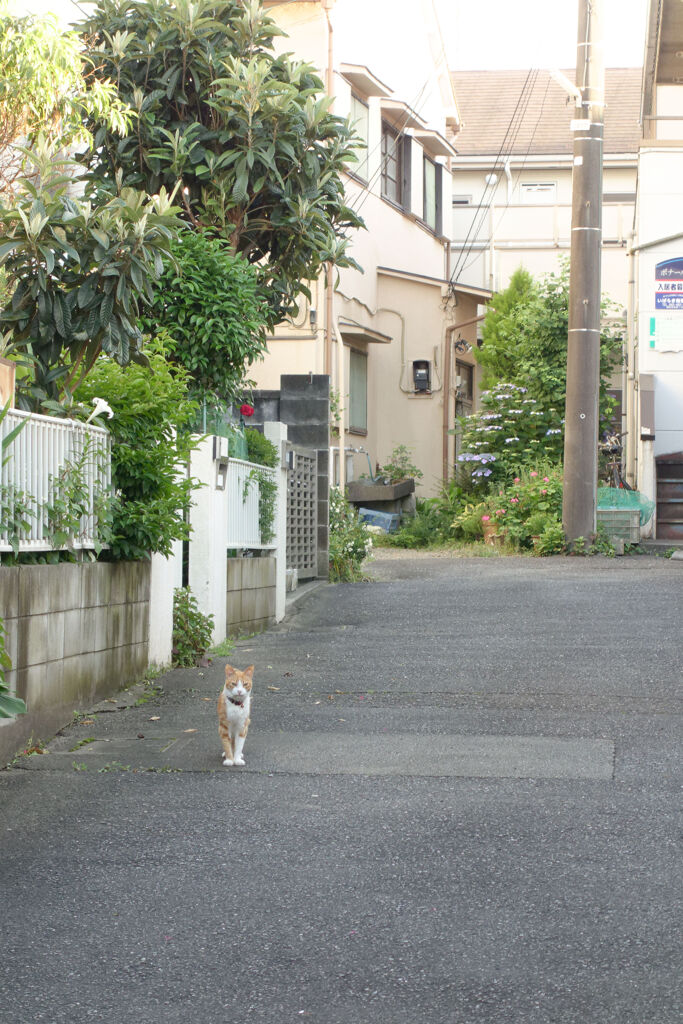 立ち止まる