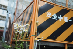 安全第一