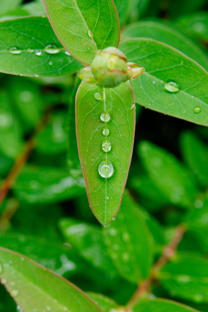 水滴