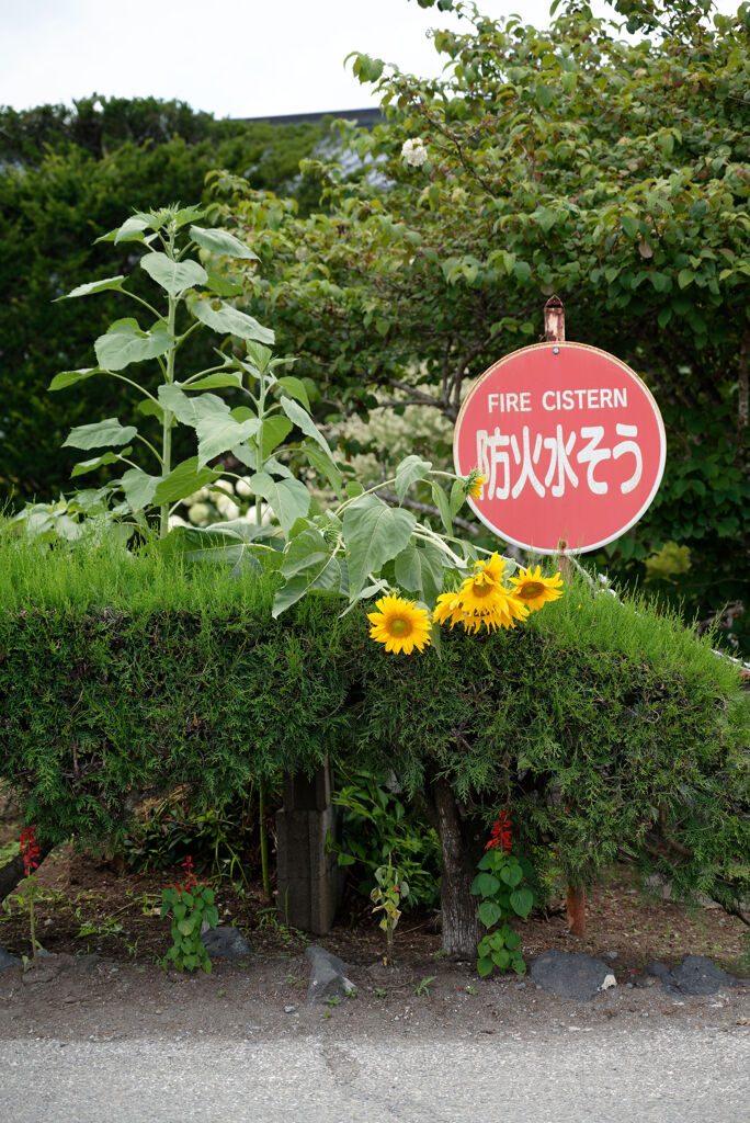 防火水そう
