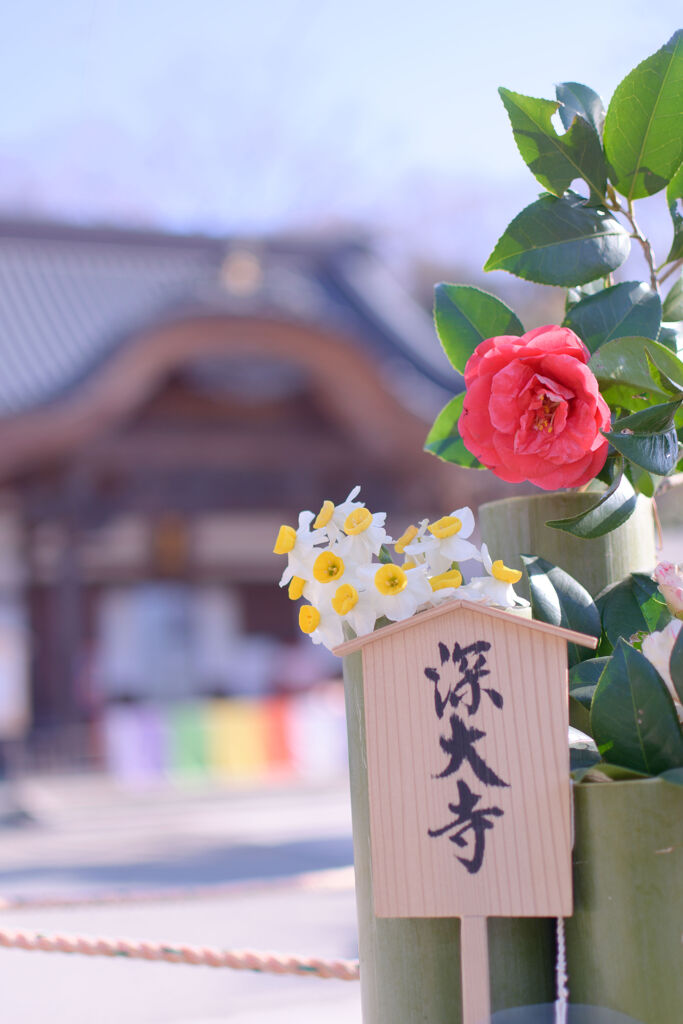 深大寺