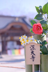 深大寺