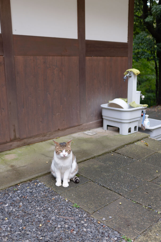 ようこそいらっしゃいました。