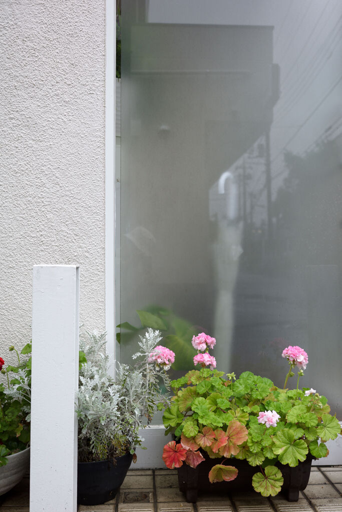 すりガラスの向う