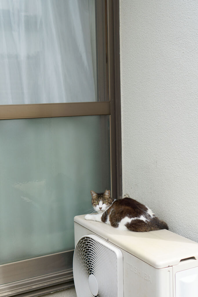 お気に入りの場所