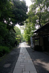朝の深大寺