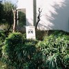 植え込みに車