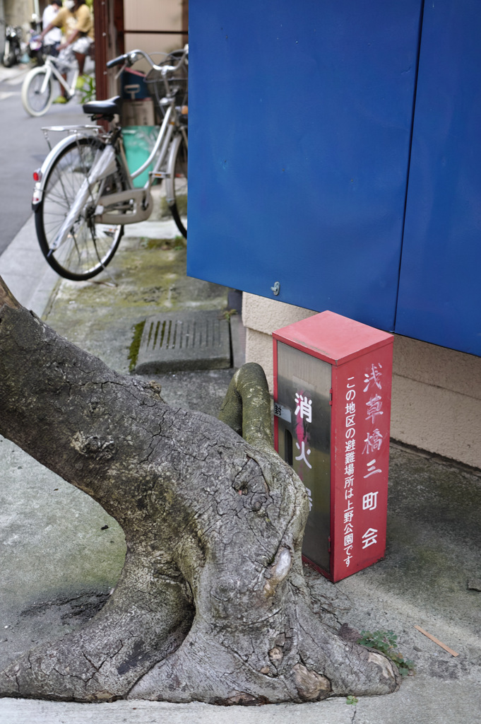 物陰の消火器