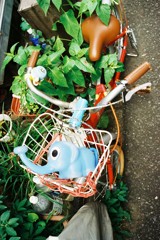 旅に出るか・・・