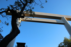青空