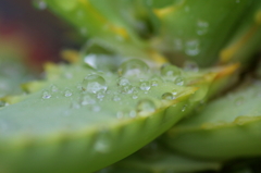 水滴
