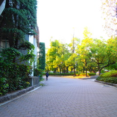 旧市民球場裏