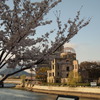 原爆ドームと桜