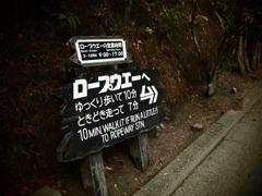 気になる文言