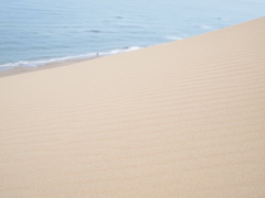 一面の砂
