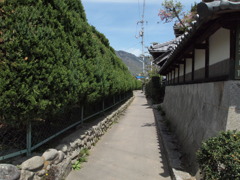 どこに続く道なのかな