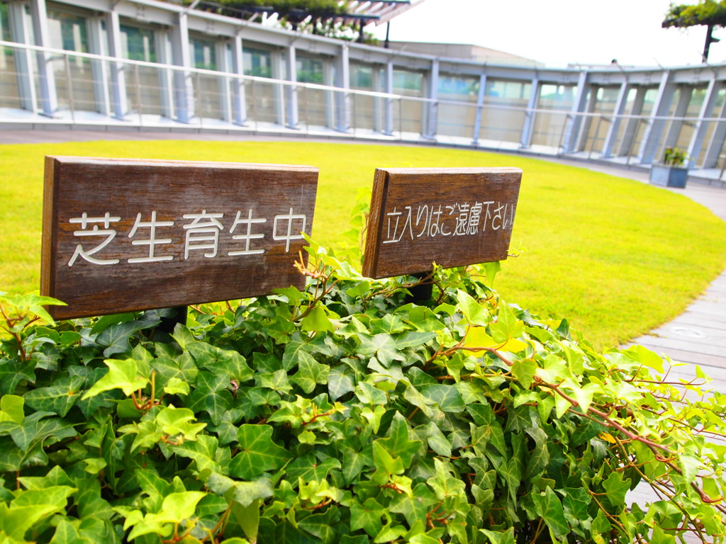 屋上庭園