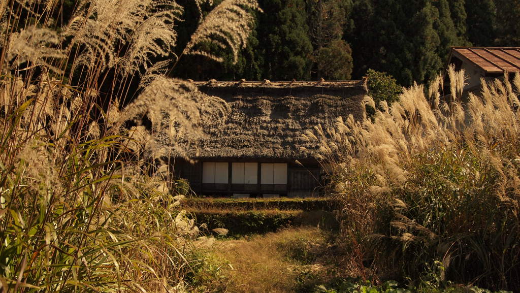 秋の白川郷