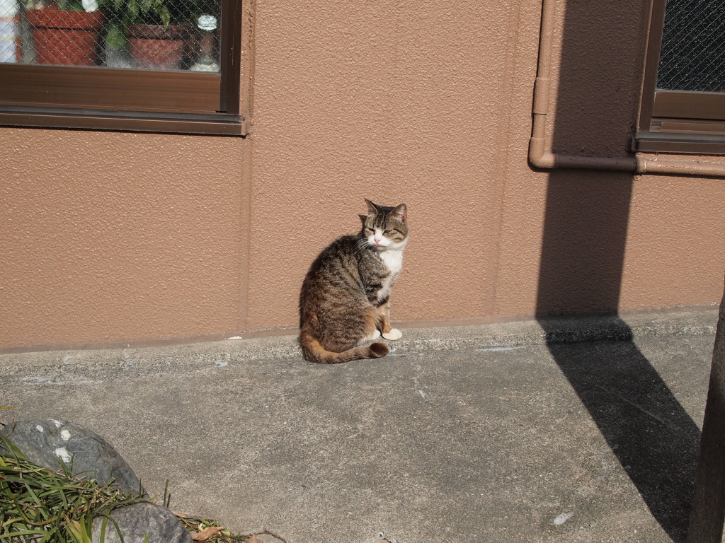 にゃ。