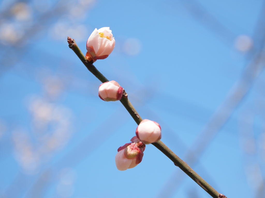 待ってる